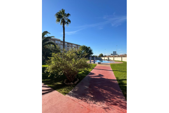 Herverkoop - Appartement  - Torrevieja - Parque de las Naciones