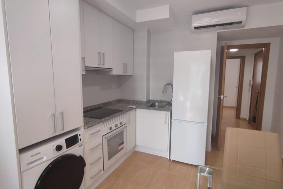 Alquiler a largo plazo - Apartamento / piso - SAN JUAN ALICANTE - Centro