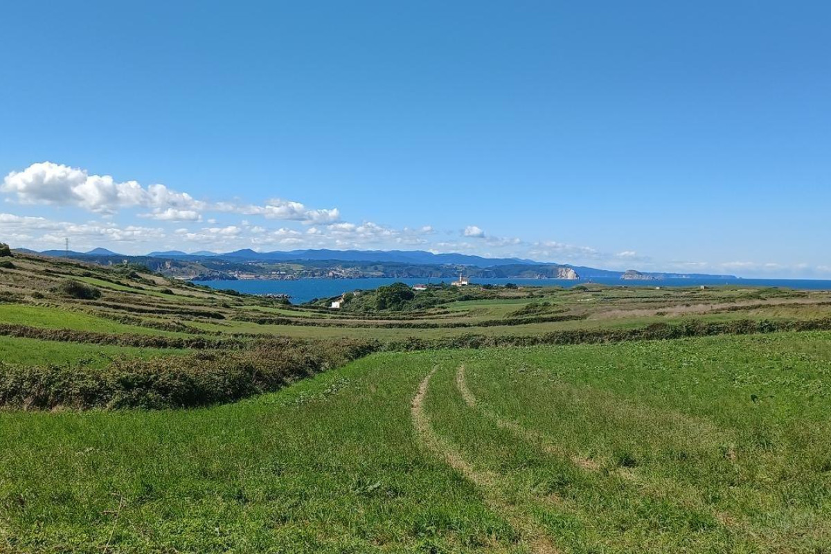Resale - Apartment  - Gozon - Área de Gozon