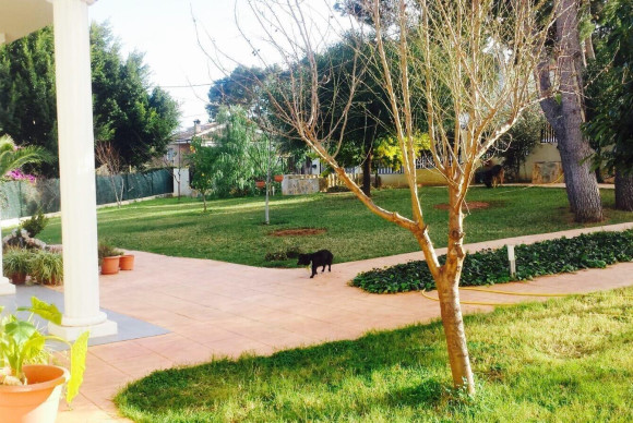 Resale - Villa - Picassent - Urbanizacion el pinar 3