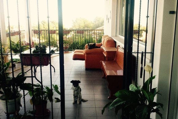Resale - Villa - Picassent - Urbanizacion el pinar 3