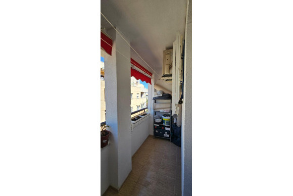 Resale - Apartment  - Torrevieja - Playa de los Locos