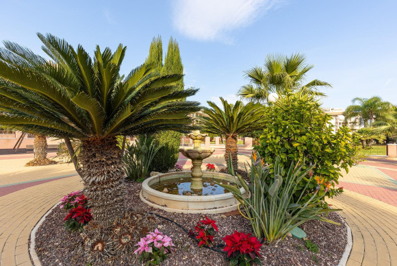 Resale - Apartment  - Orihuela Costa - Playa Flamenca