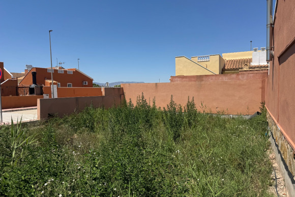 Revente - Parcelle / Terrain - Daya Nueva