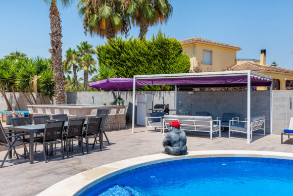 Resale - Finca / Country Property - Catral