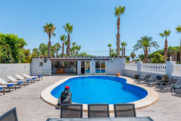 Resale - Finca / Country Property - Catral