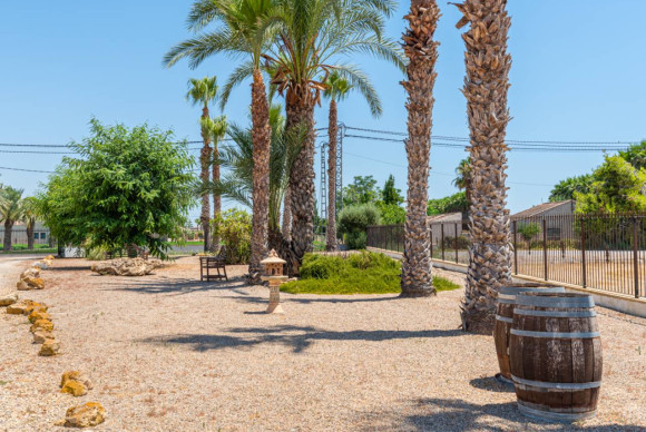 Resale - Finca / Country Property - Catral
