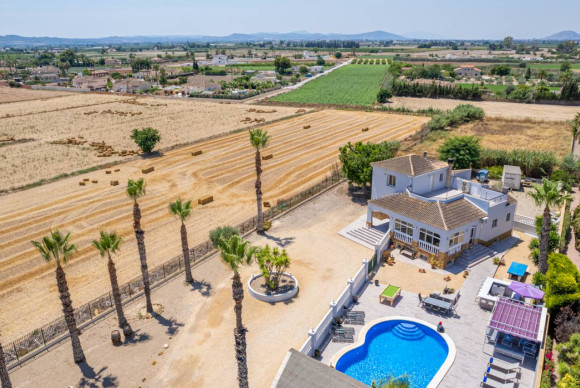 Resale - Finca / Country Property - Catral