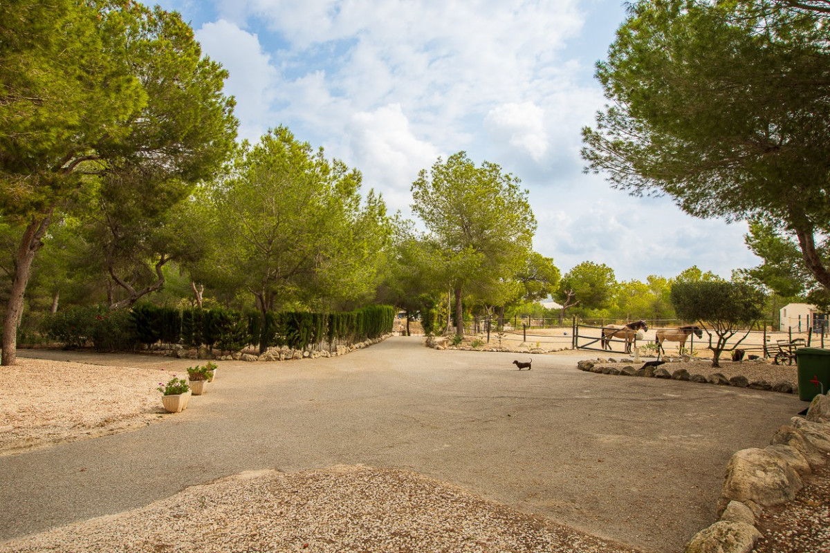 Herverkoop - Landelijke Woning-Finca - Torremendo