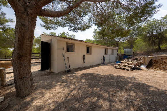 Herverkoop - Landelijke Woning-Finca - Torremendo