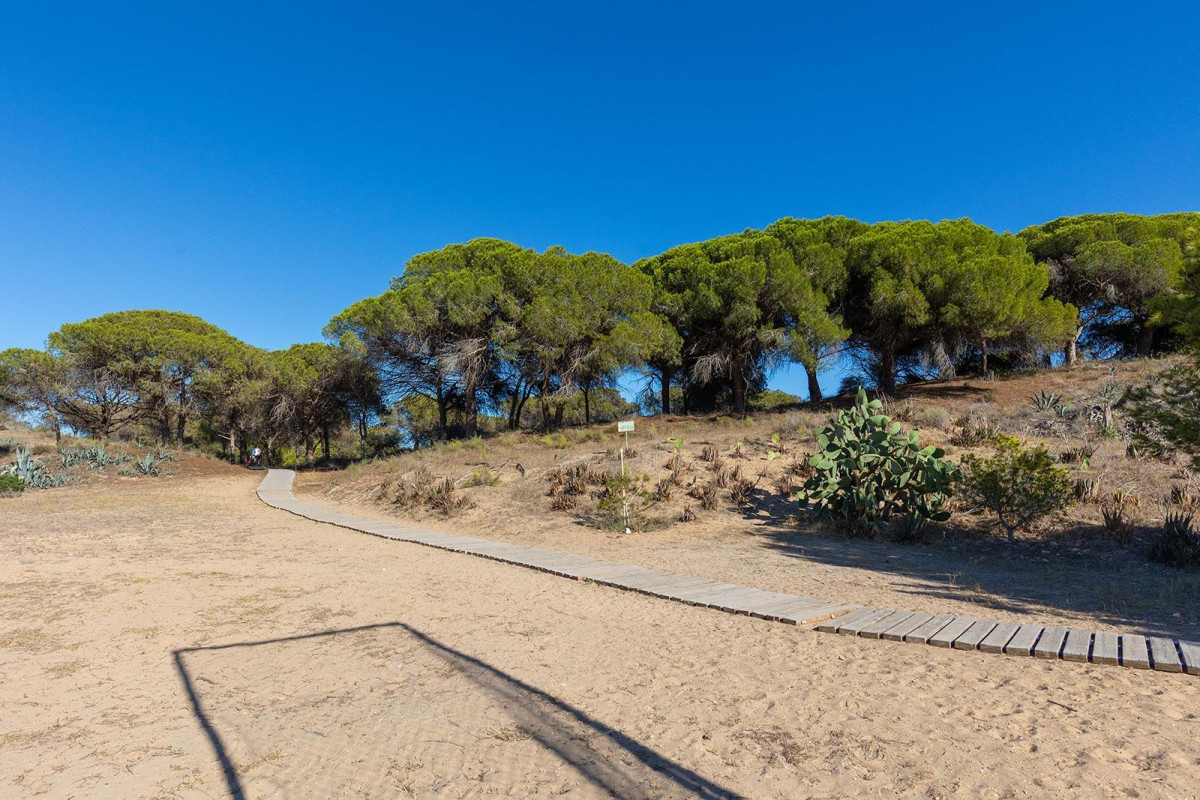 Revente - Appartement - Guardamar del Segura - Urb. pinomar