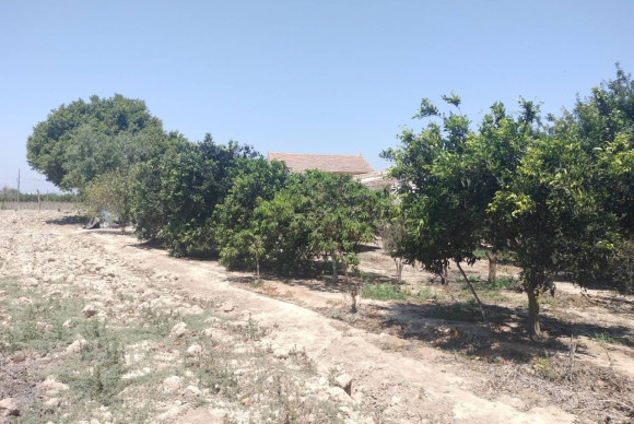 Herverkoop - Landelijke Woning-Finca - Rojales - Cuidad Quesada