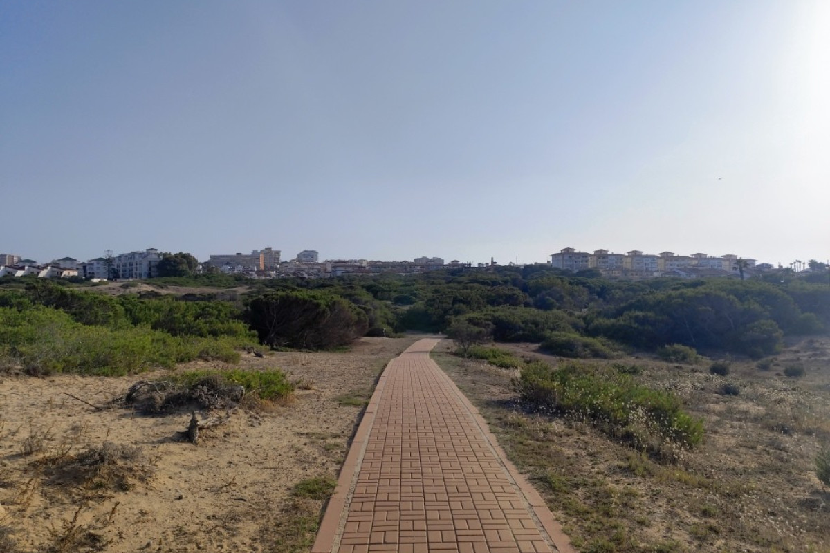 Resale - Studio - Torrevieja