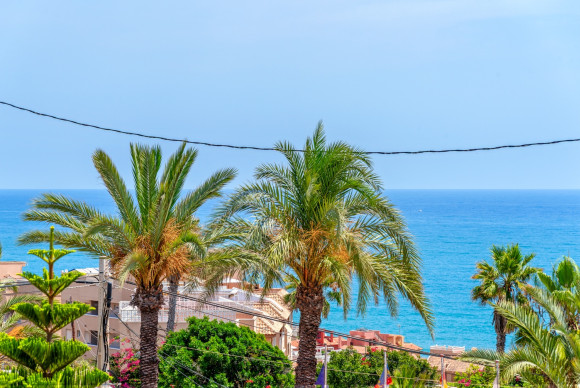 Herverkoop - Villa - Torrevieja