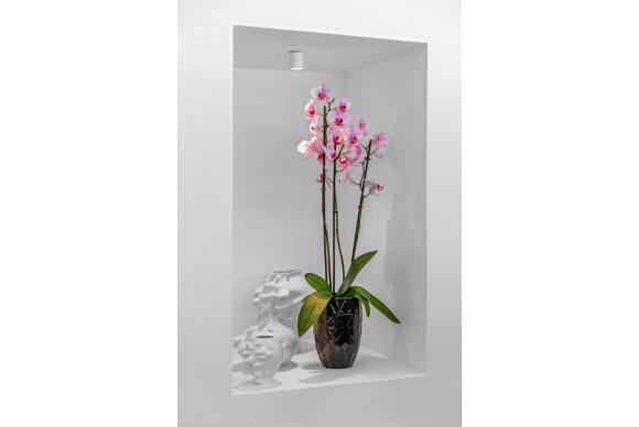 Resale - Villa - Guardamar del Segura