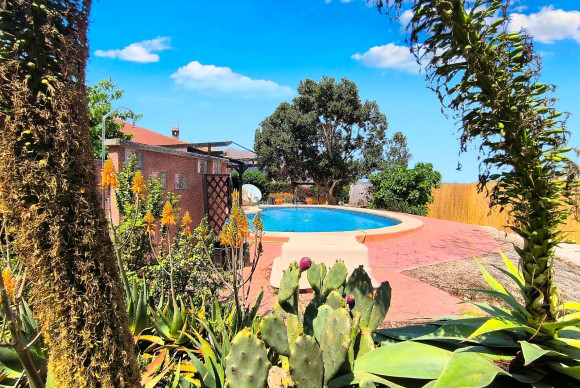 Herverkoop - Landelijke Woning-Finca - Orihuela Costa - Orihuela