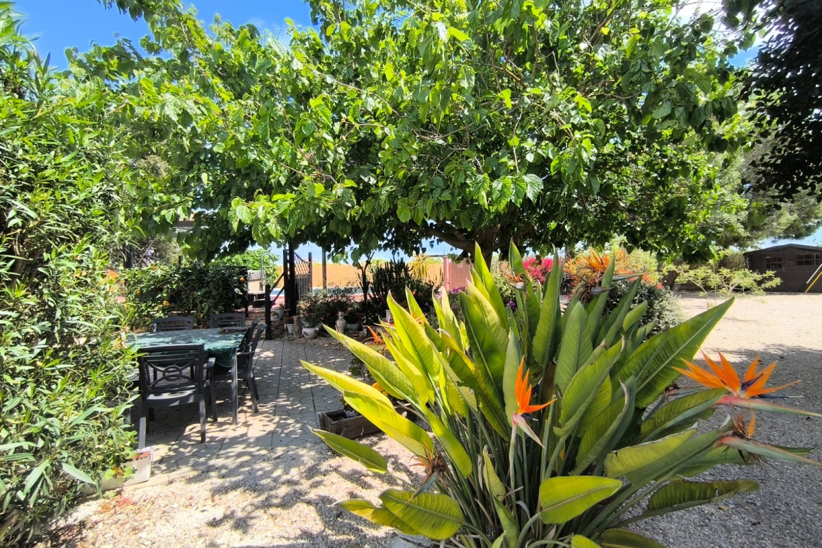 Herverkoop - Landelijke Woning-Finca - Orihuela Costa - Orihuela