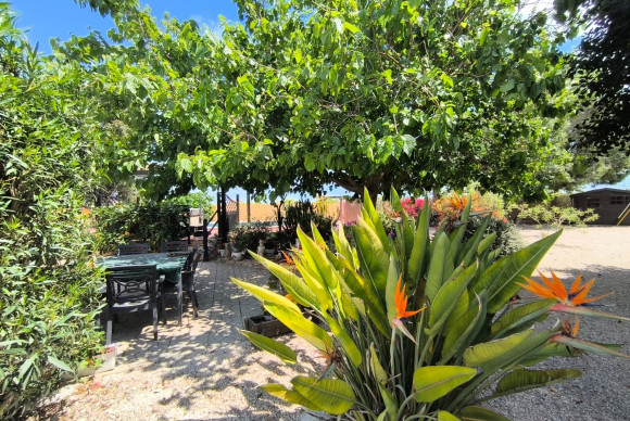 Herverkoop - Landelijke Woning-Finca - Orihuela Costa - Orihuela