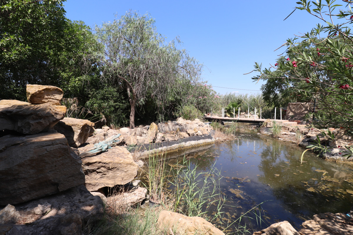 Revente - Country Property - Catral - Catral - Country