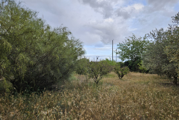 Herverkoop - Landelijke woning - Aspe