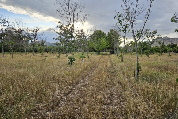 Herverkoop - Landelijke woning - Aspe