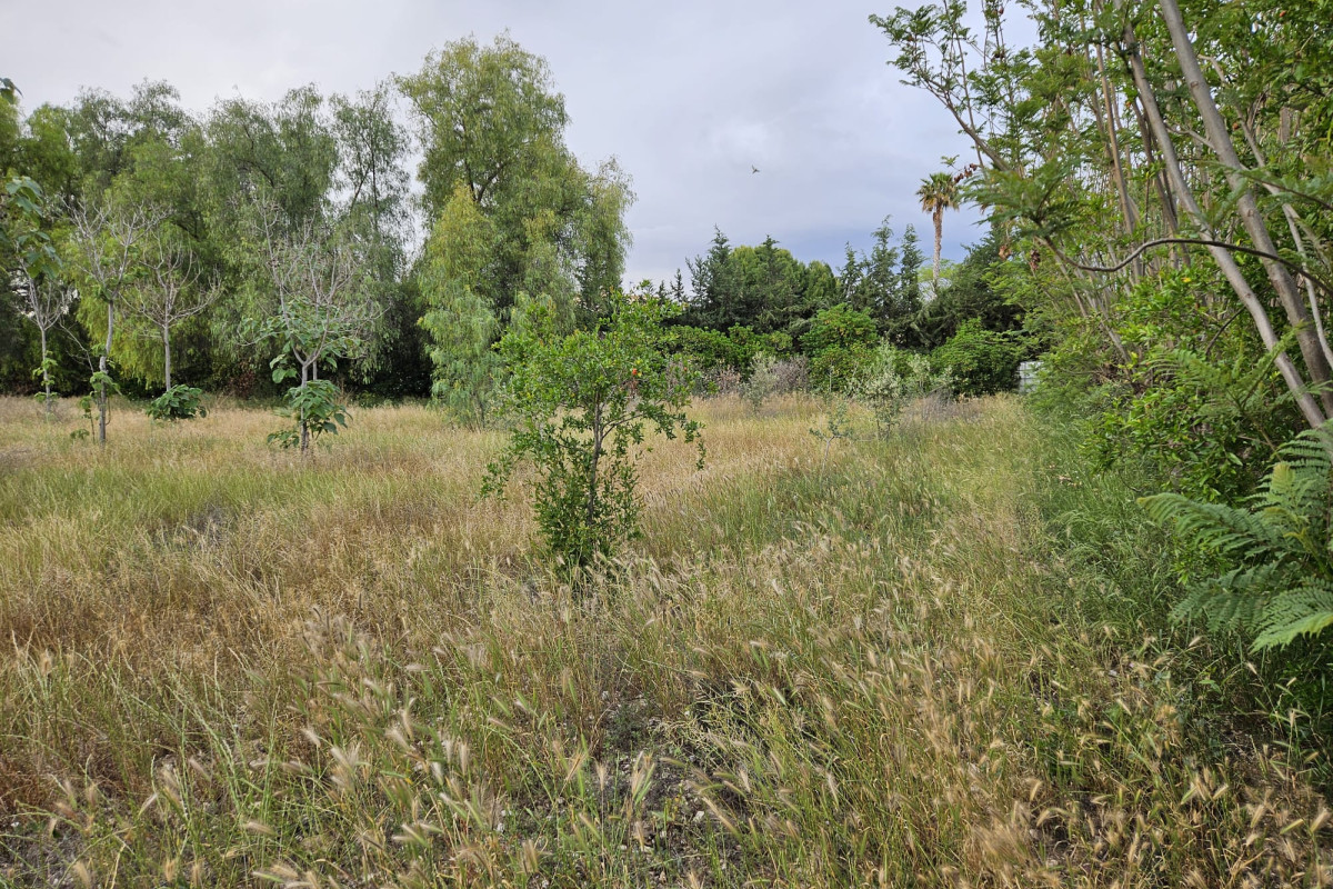 Herverkoop - Landelijke woning - Aspe
