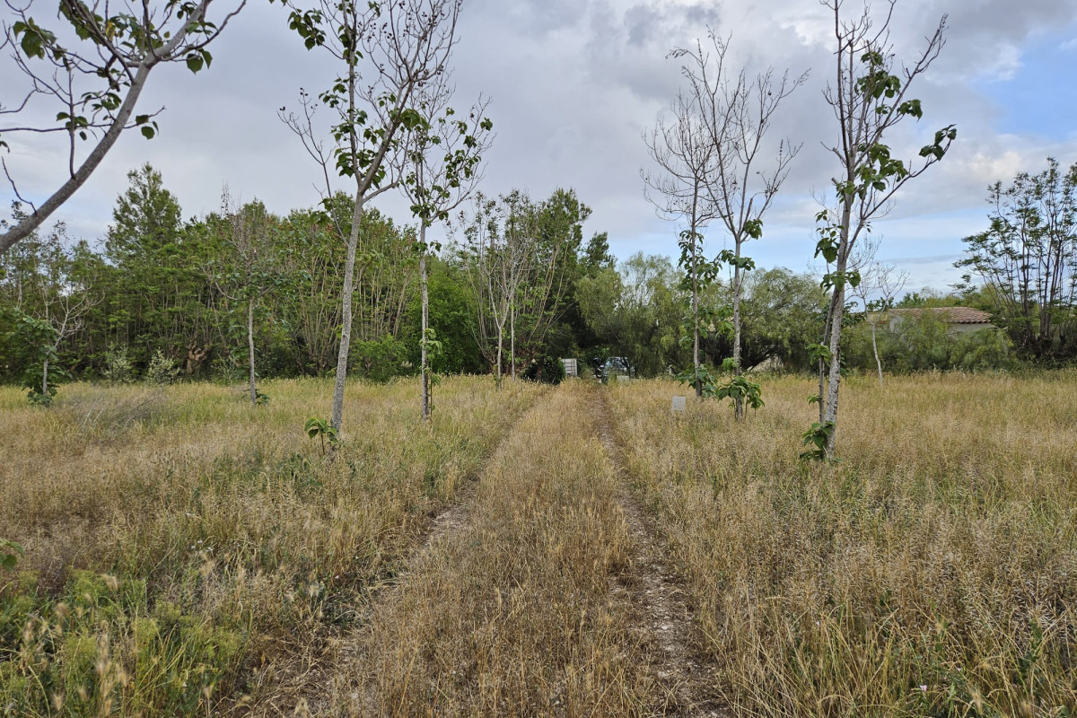 Herverkoop - Landelijke woning - Aspe