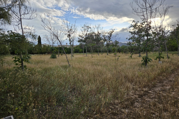 Herverkoop - Landelijke woning - Aspe