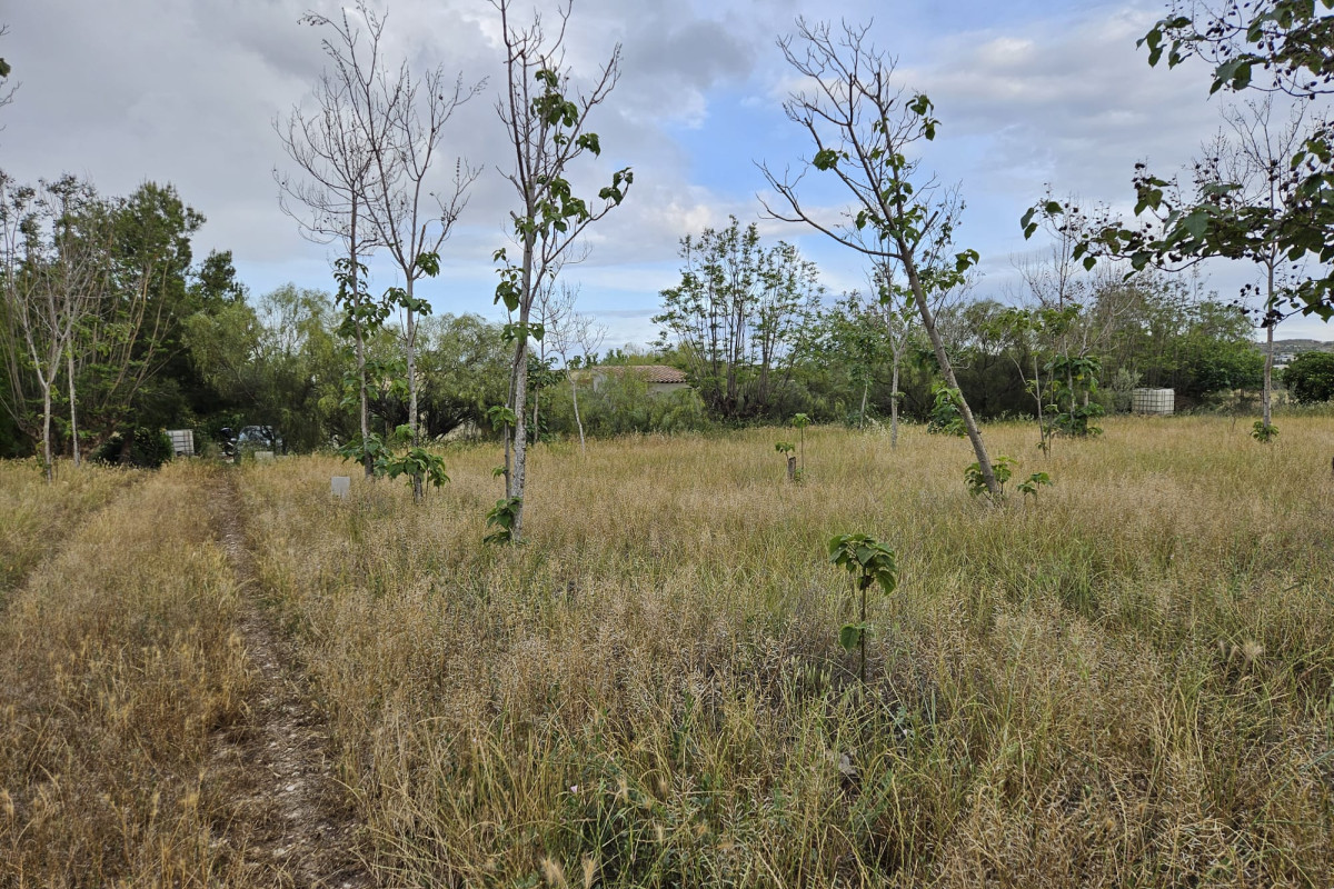 Herverkoop - Landelijke woning - Aspe