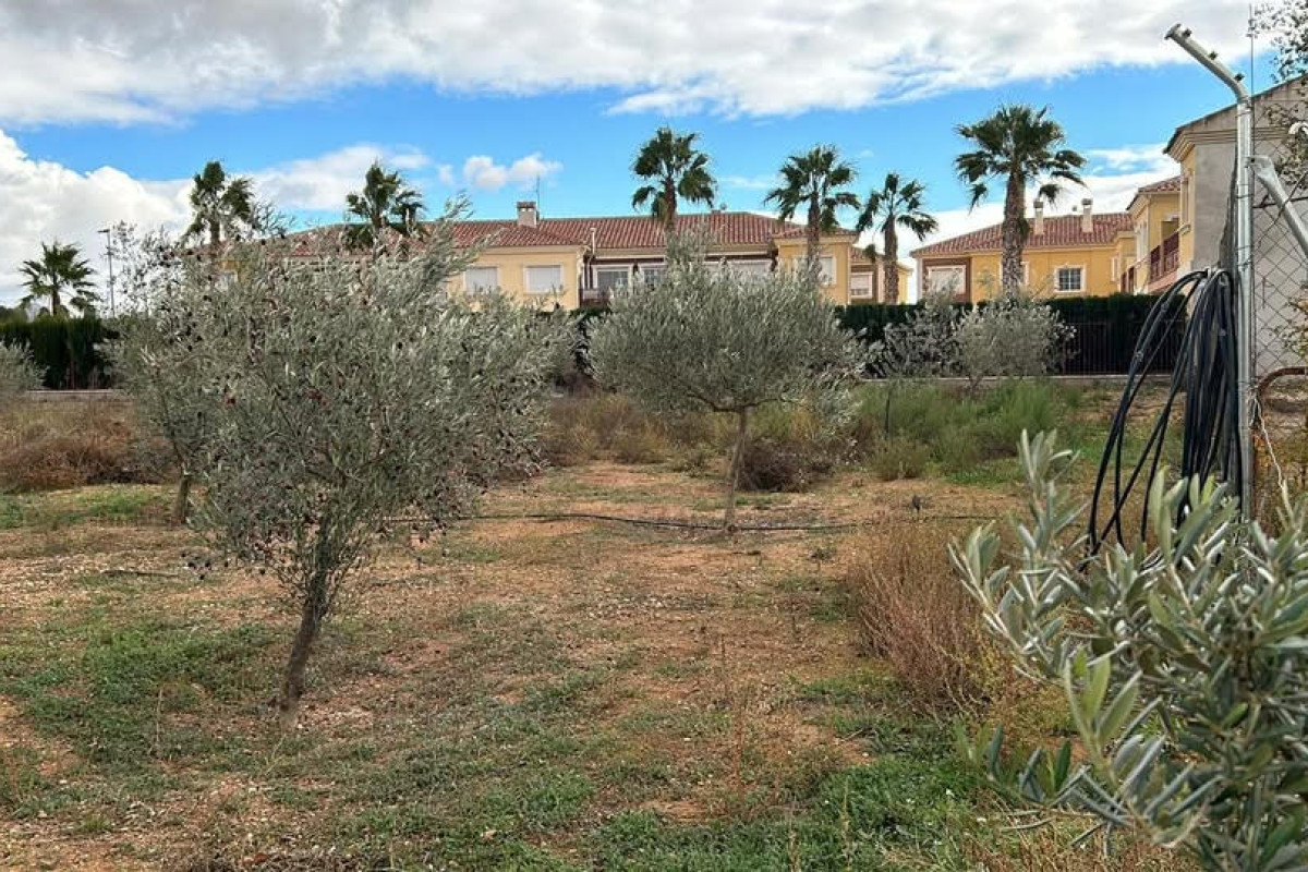 Revente - Country House - PINOSO