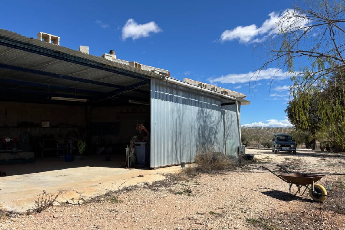 Resale - Country House - PINOSO