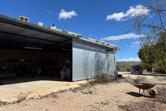 Resale - Country House - PINOSO