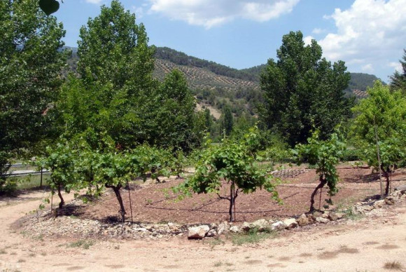 Resale - Country House - Villaverde de Guadalimar