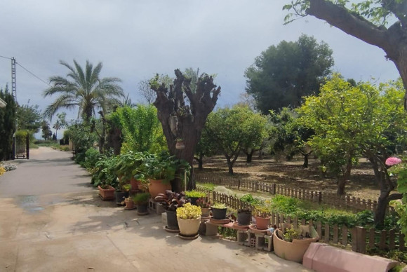 Resale - Country House - Elche