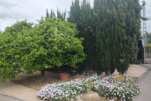 Resale - Country House - Elche