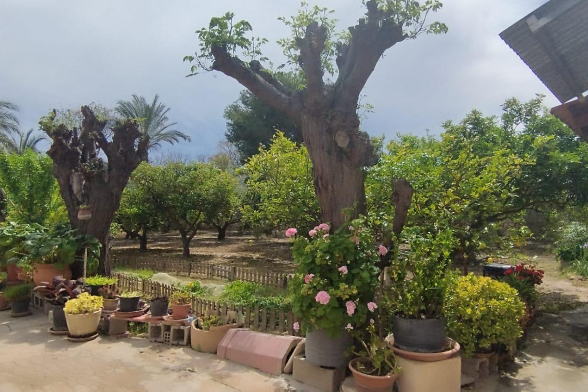 Resale - Country House - Elche