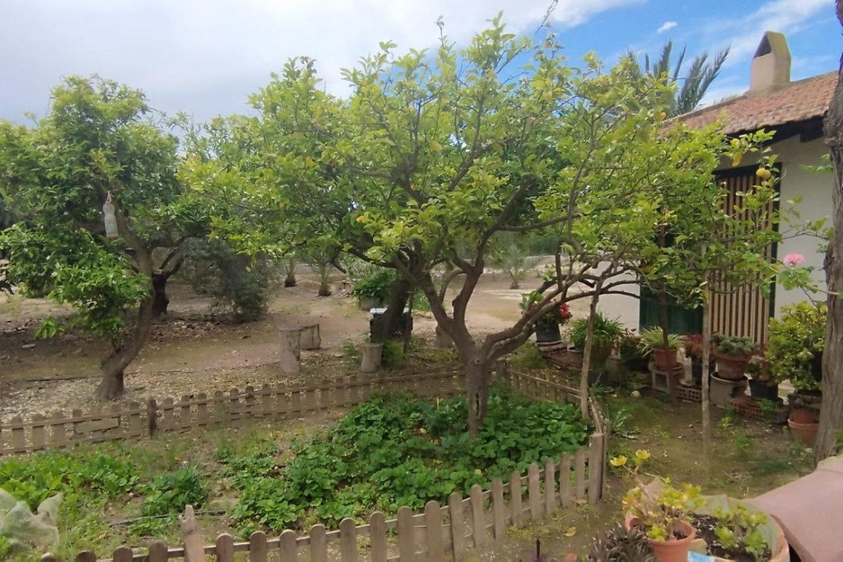 Resale - Country House - Elche