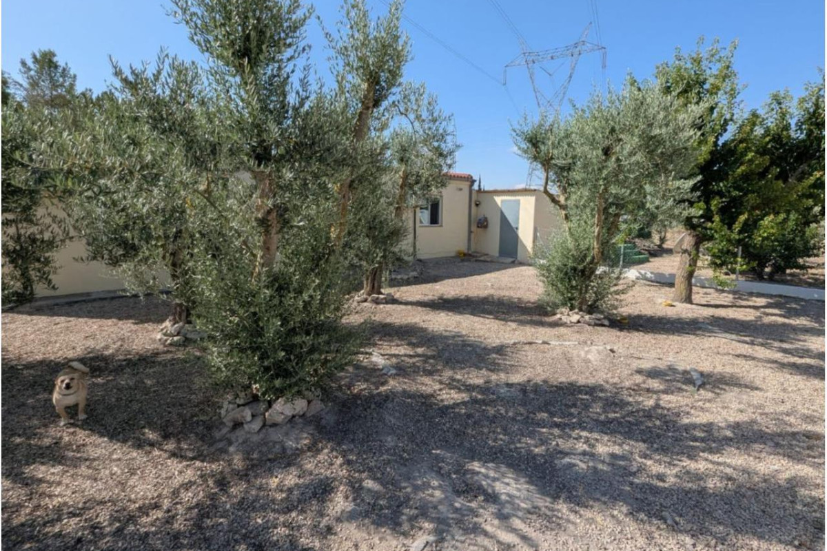 Resale - Country House - SAX