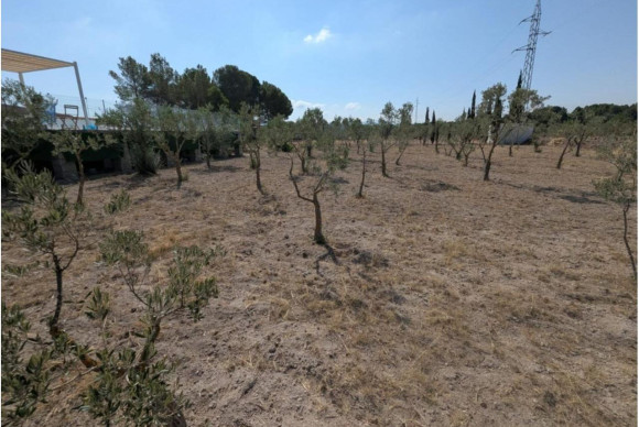 Resale - Country House - SAX