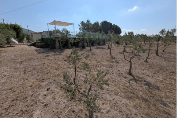 Resale - Country House - SAX