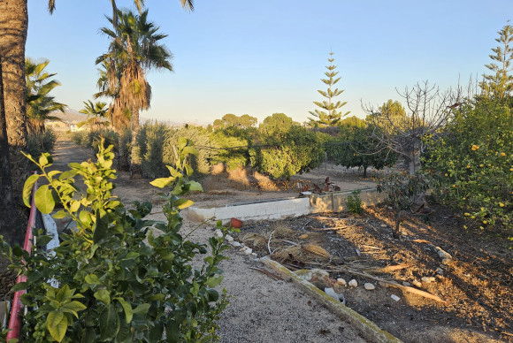 Reventa - Country House - Novelda