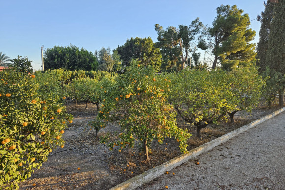 Reventa - Country House - Novelda