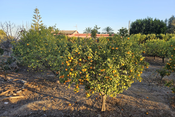 Reventa - Country House - Novelda