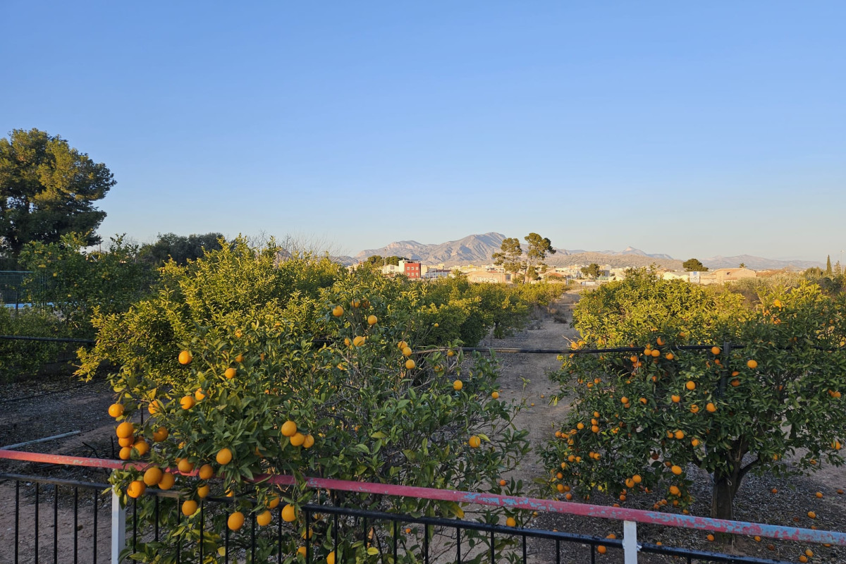 Reventa - Country House - Novelda