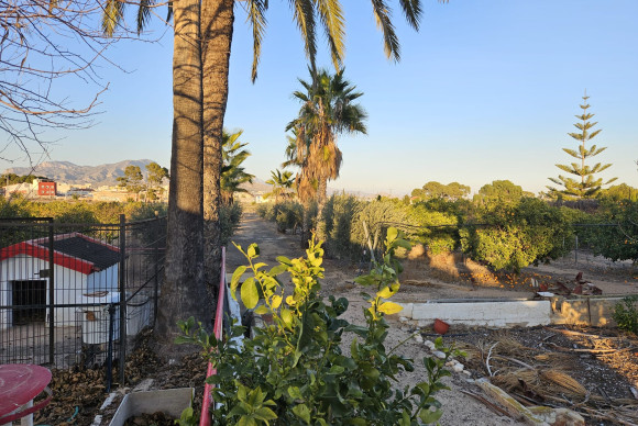 Reventa - Country House - Novelda