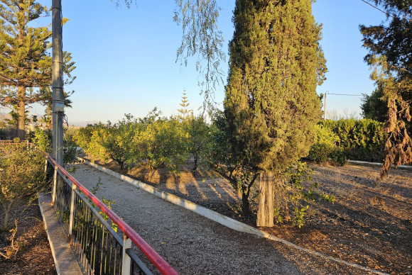 Reventa - Country House - Novelda