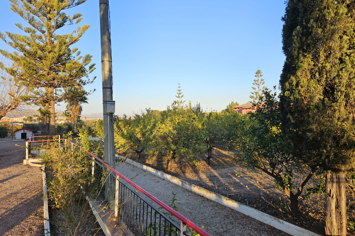 Reventa - Country House - Novelda