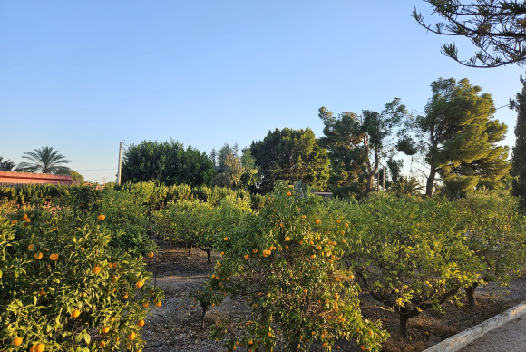 Reventa - Country House - Novelda