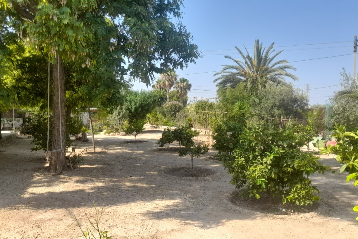 Revente - Country House - Crevillente