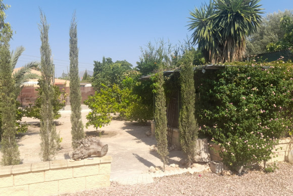 Revente - Country House - Crevillente